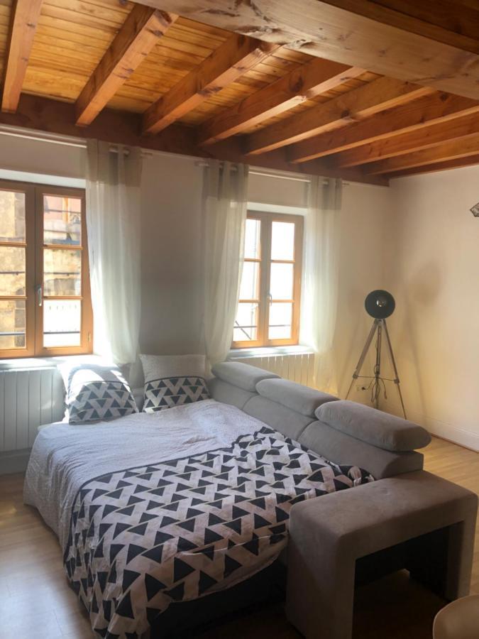 Le Double Pirou # 2 Appartements # Halte Auvergne Thiers Esterno foto